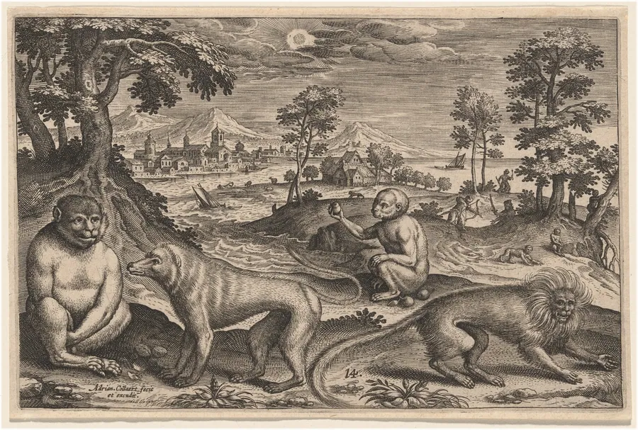 Two Apes and Two Monkeys by Adriaen Collaert
