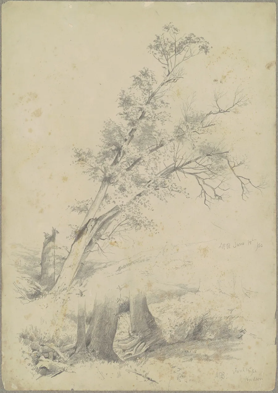 Trees, Hudson by Andrew Fisher Bunner