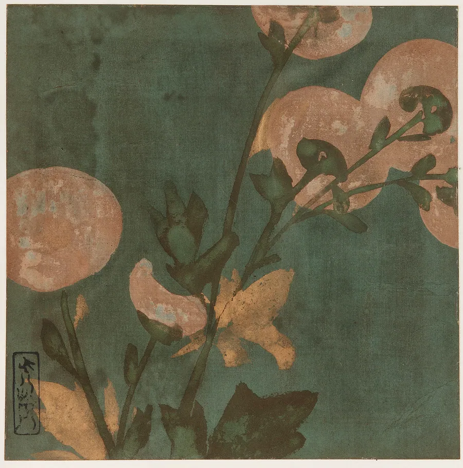 Chrysanthemums by Attributed to Hon'ami Koetsu 本阿弥光悦 (1558-1637)