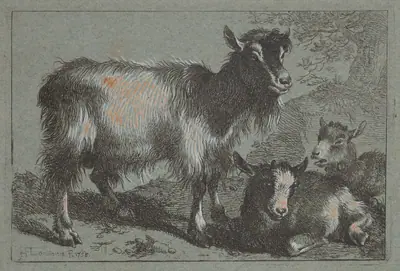 Goat and Two Kids