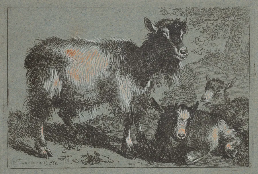 Goat and Two Kids by Francesco Londonio