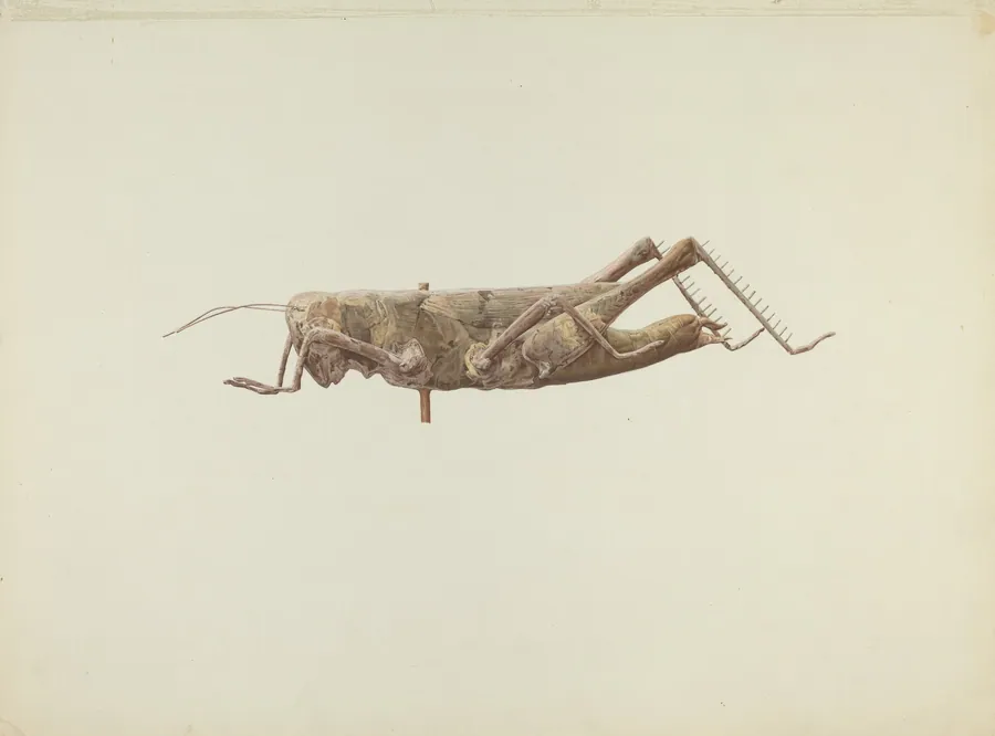 Grasshopper Weather Vane by Joseph Goldberg