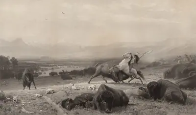 The Last of the Buffalo