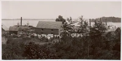 Wilcox Landing