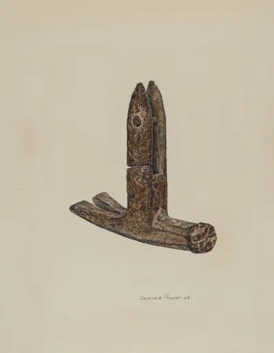 Hammer Head