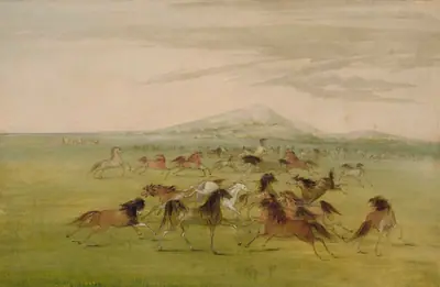 Wild Horses at Play
