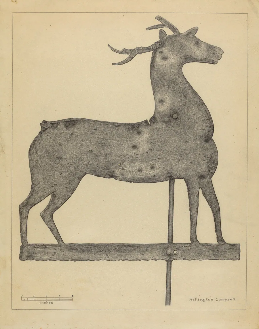 Weather Vane by Rollington Campbell