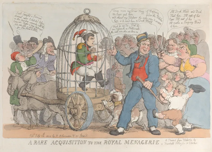 A Rare Acquisition to the Royal Menagerie by Napoléon Bonaparte