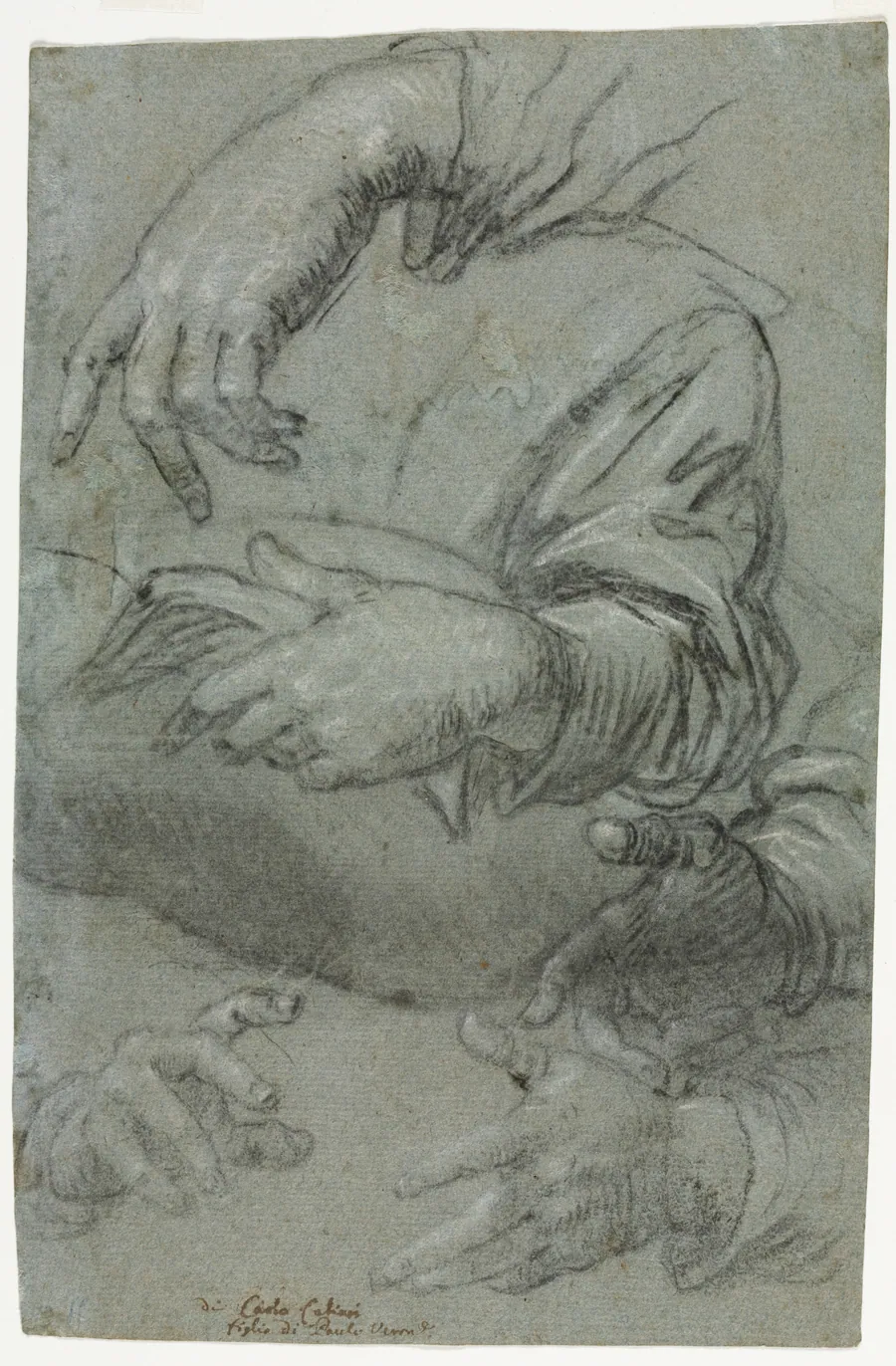 Studies of Hands (recto) by Carletto Caliari
