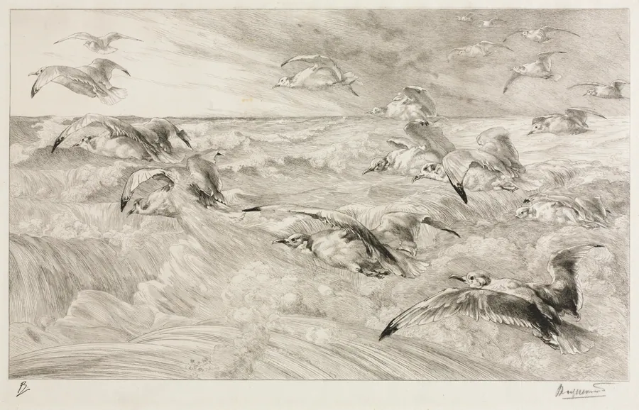 The Seagulls by Félix Bracquemond