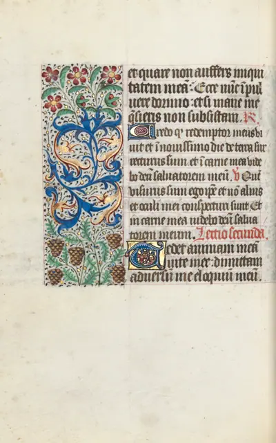 Book of Hours (Use of Rouen): fol. 115v