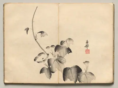 Morning Glory from Ōkyo Picture Book
