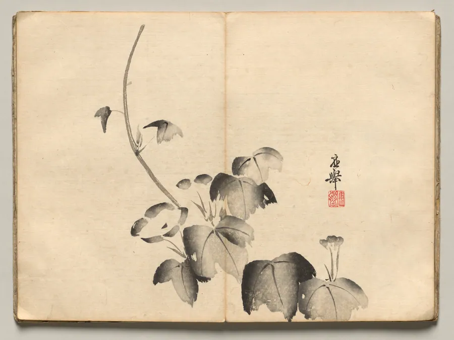 Morning Glory from Ōkyo Picture Book by Maruyama Ōkyo