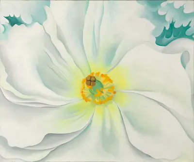 White Flower