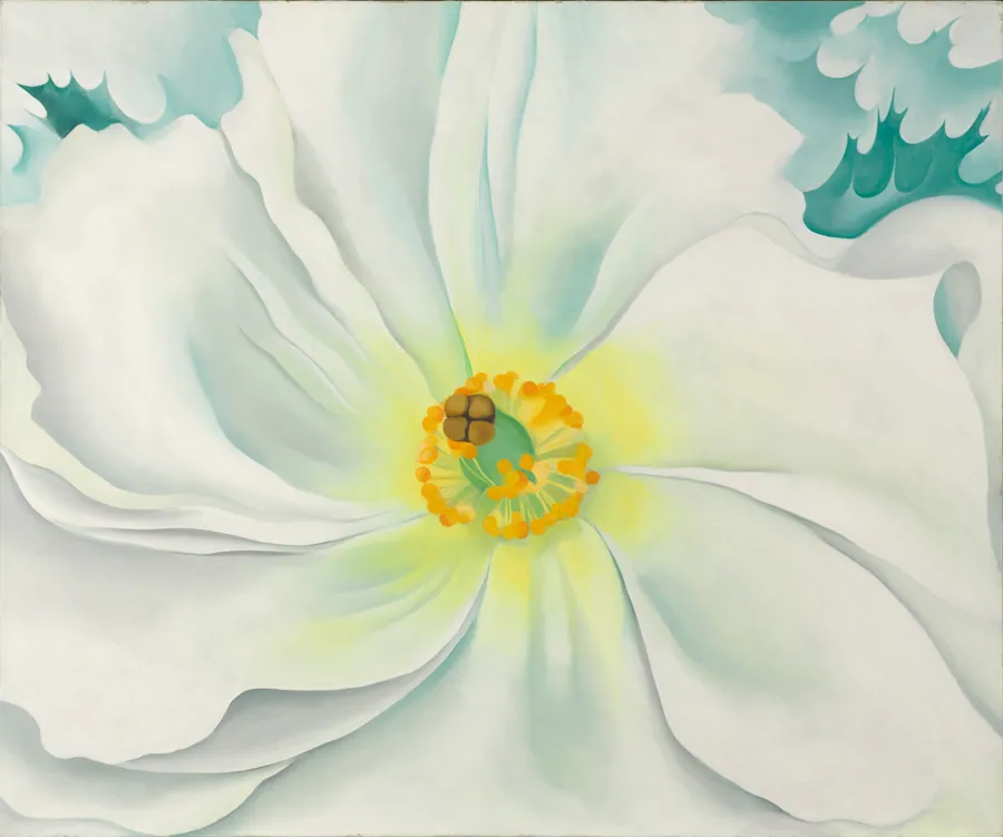 White Flower by Georgia O'Keeffe