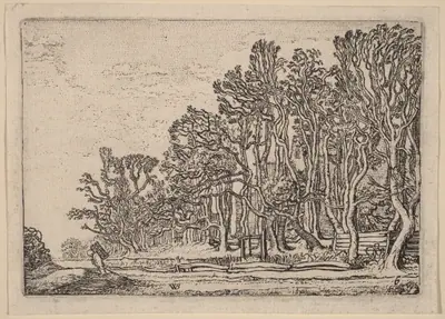 Two Plank Hedges