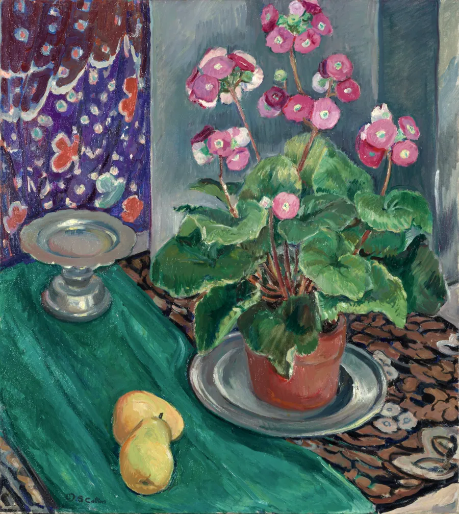 Primrose by Mary Susan Collins