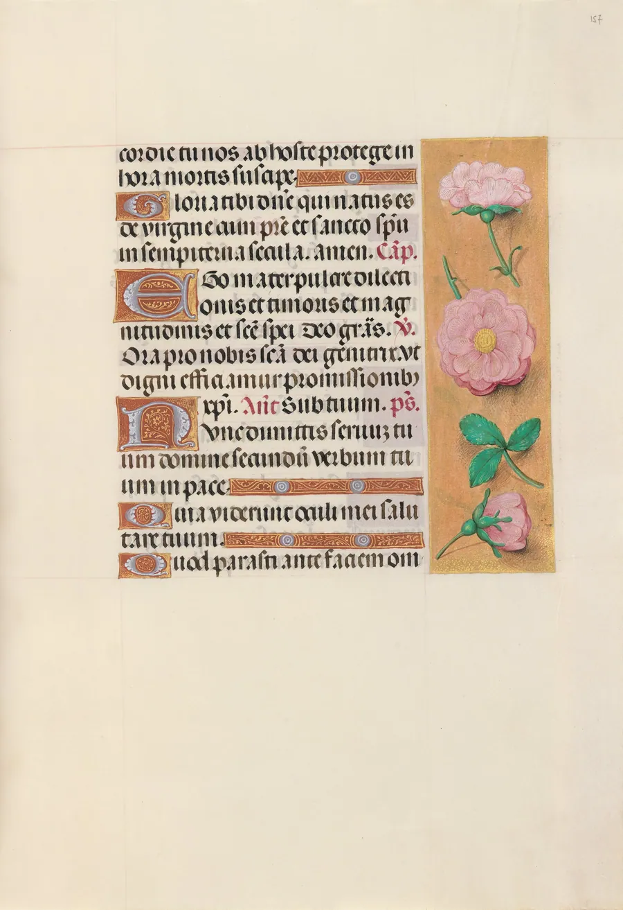 Hours of Queen Isabella the Catholic, Queen of Spain:  Fol. 157r by Master of the First Prayerbook of Maximillian