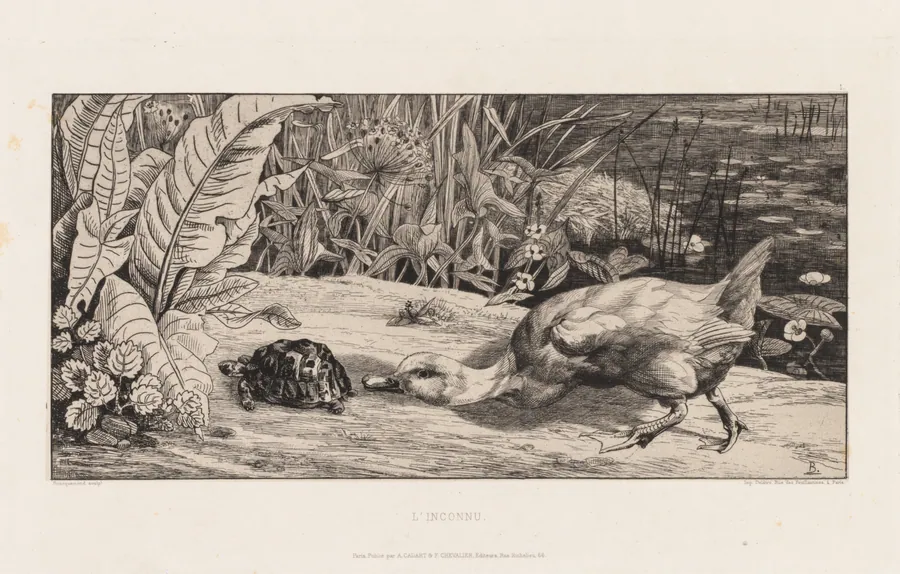 The Unknown (L'Inconnu) by Félix Bracquemond