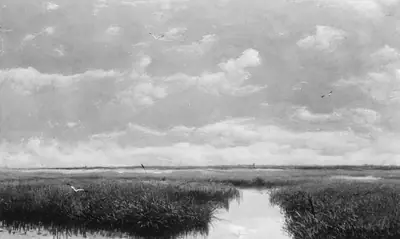 Marsh Grass