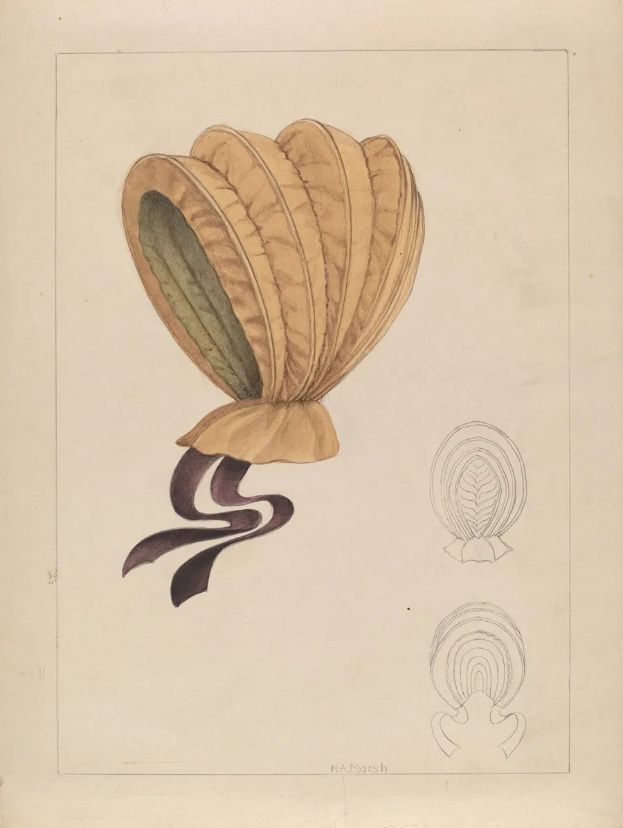 Bonnet by Herbert Marsh