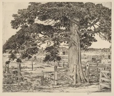 The Big Cedar