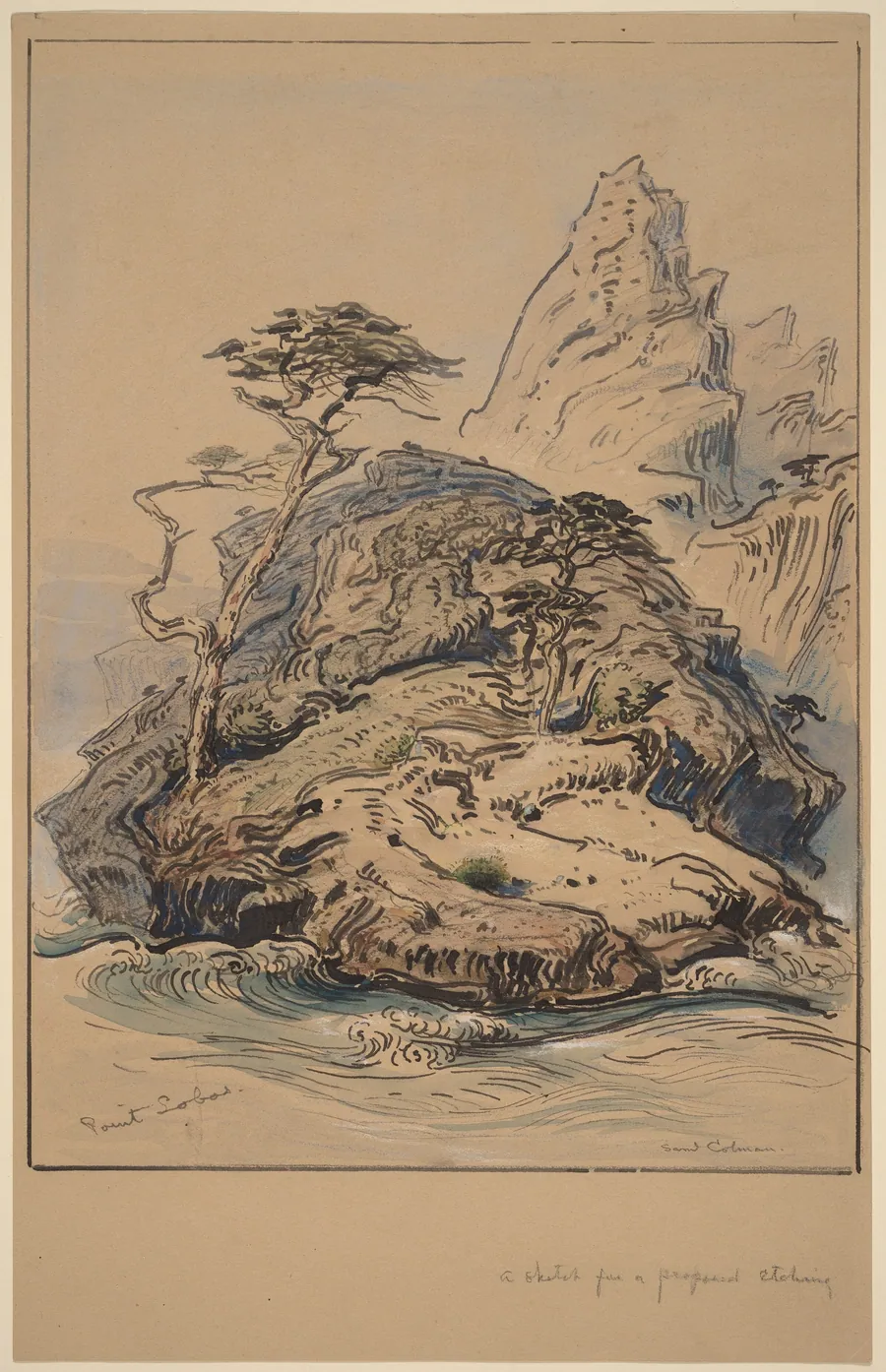 Point Lobos, California by Samuel Colman