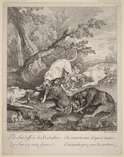 A Fox Attacked by Dogs