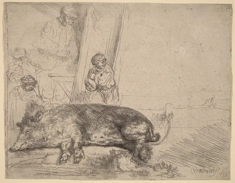 The Hog by Rembrandt van Rijn