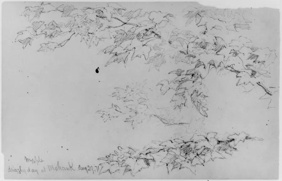 Maple Leaves, 1871 (from Sketchbook) by Daniel Huntington