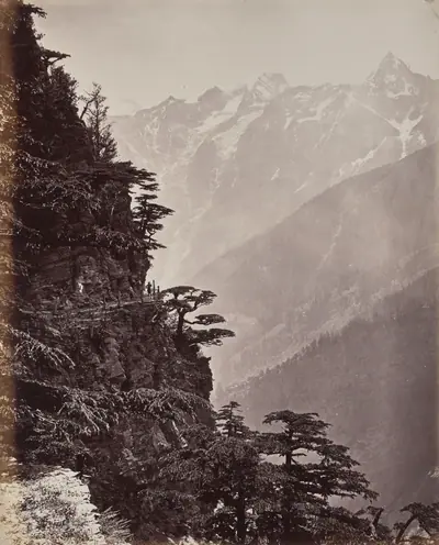 The Upper Himmalayahs. View on the New Road Near Rogi