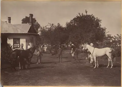 Lord William Beresford's horses