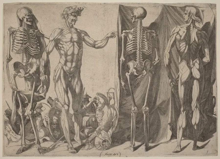 Squelettes et Ecorches by Domenico del Barbiere