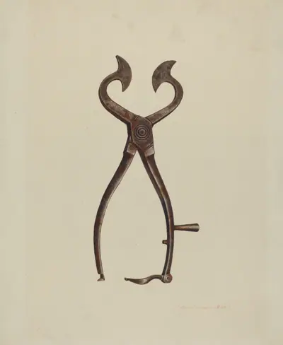 Sugar Cutter