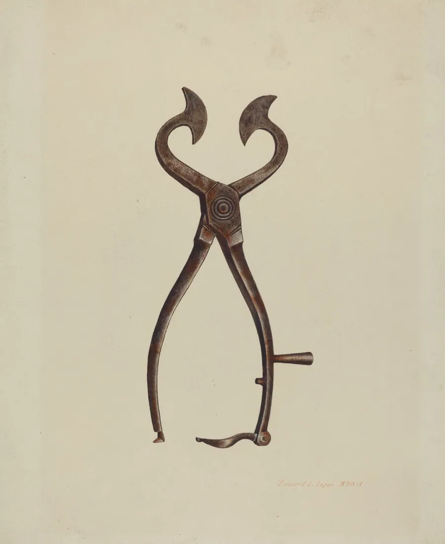 Sugar Cutter by Edward L. Loper