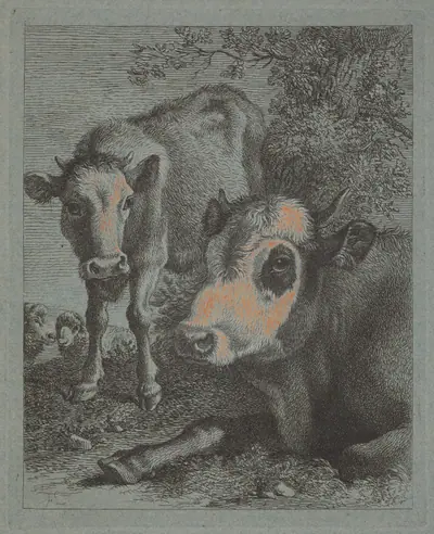 Reclining Cow and Calf in the Open