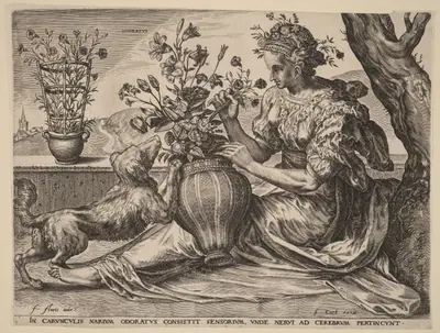 Odoratus (Smell)