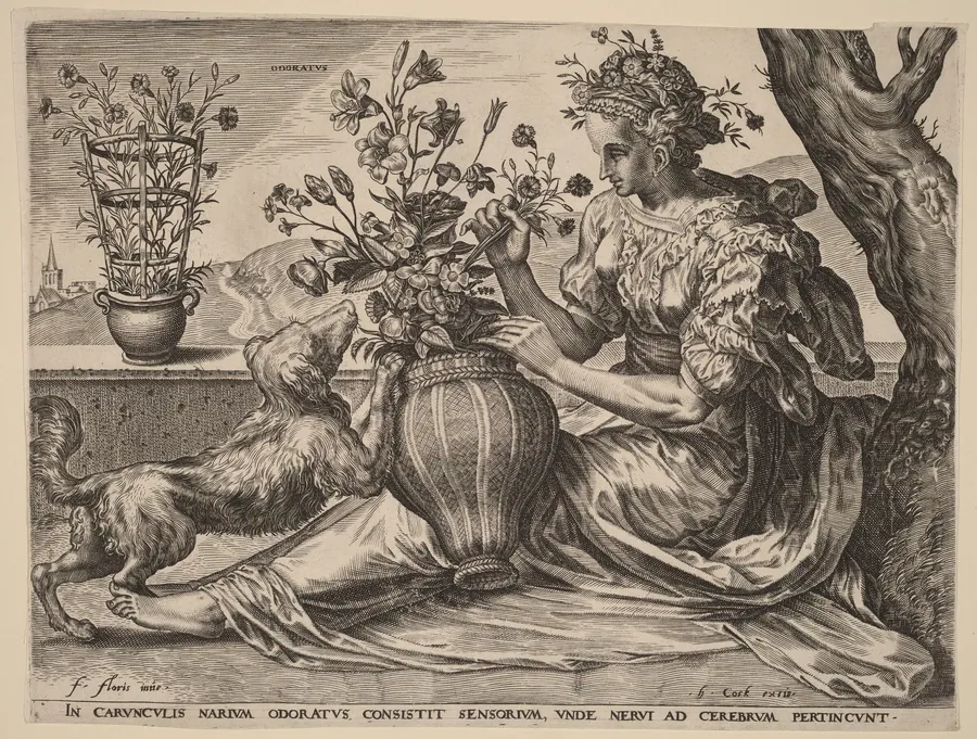 Odoratus (Smell) by Cornelis Cort