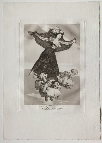 They Have Flown, Plate 61