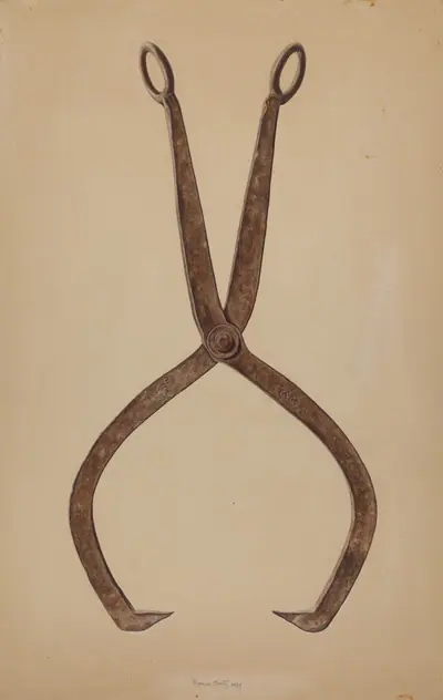 Ice Tongs