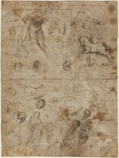 Sheet of Studies