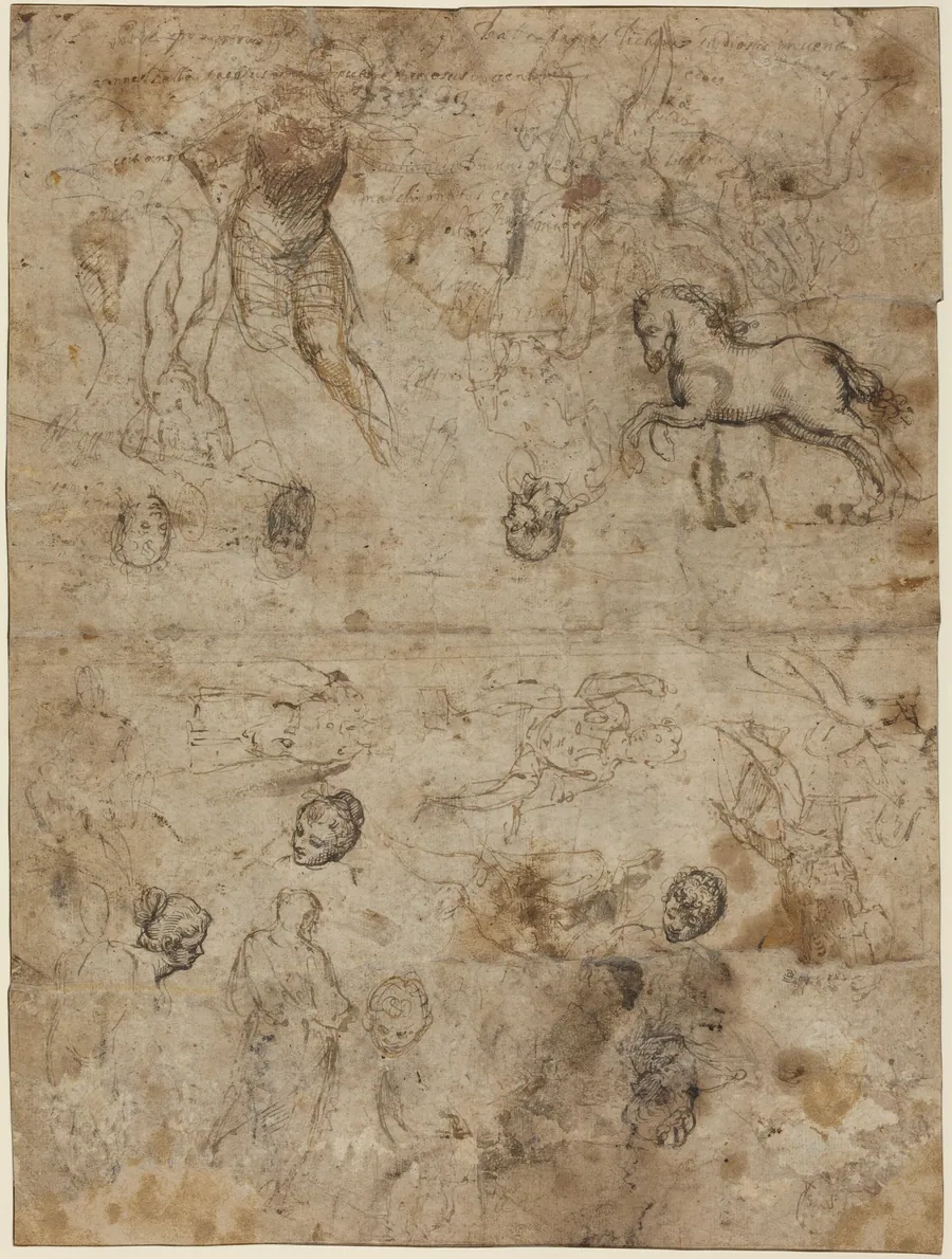 Sheet of Studies by Italian 16th Century