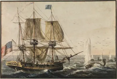 Replenishing the Ship's Larder with Codfish off the Newfoundland Coast