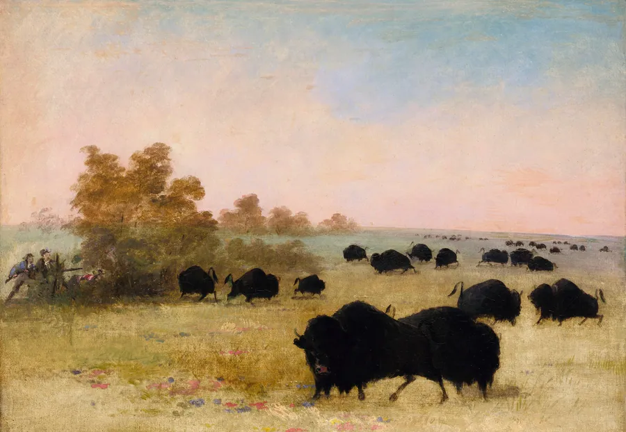 Catlin and Party Stalking Buffalo, Upper Missouri by George Catlin, born Wilkes-Barre, PA 1796-died Jersey City, NJ 1872
