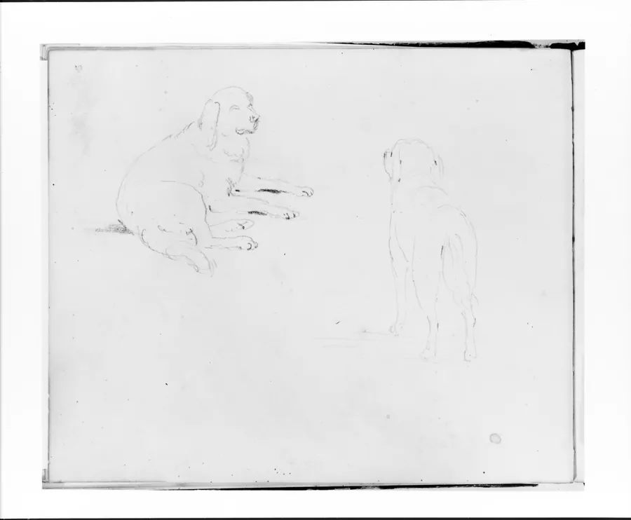 Two Studies of a Dog: Lying Down and Rear View Standing (from Sketchbook) by Francis William Edmonds