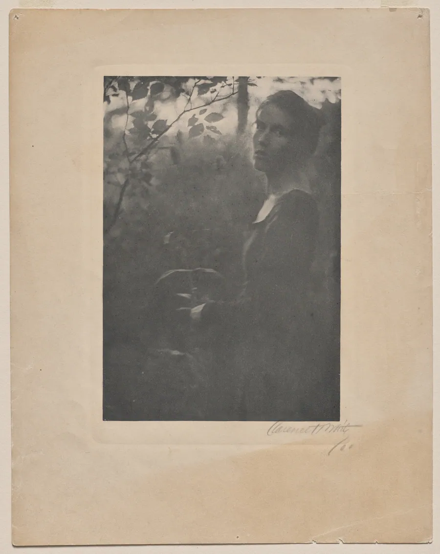 The Edge of the Wood - Evening (Letitia Felix) by Clarence H. White