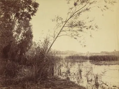 Marais de Fampoux
