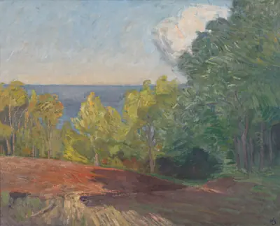 Skovbryn. Klar septemberdag