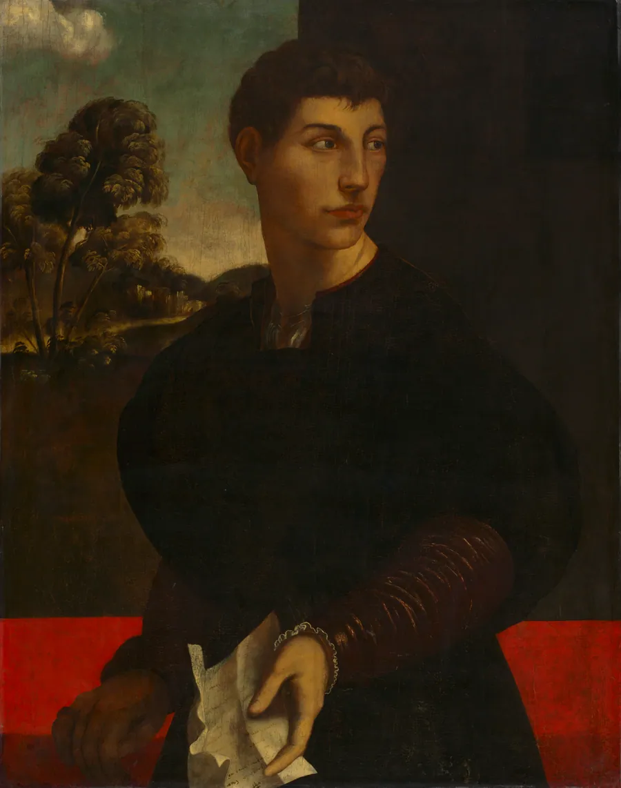Portrait of a Young Man by Dosso Dossi