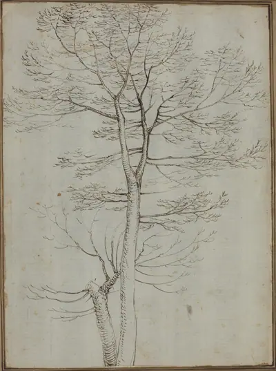 Bare Tree [verso]
